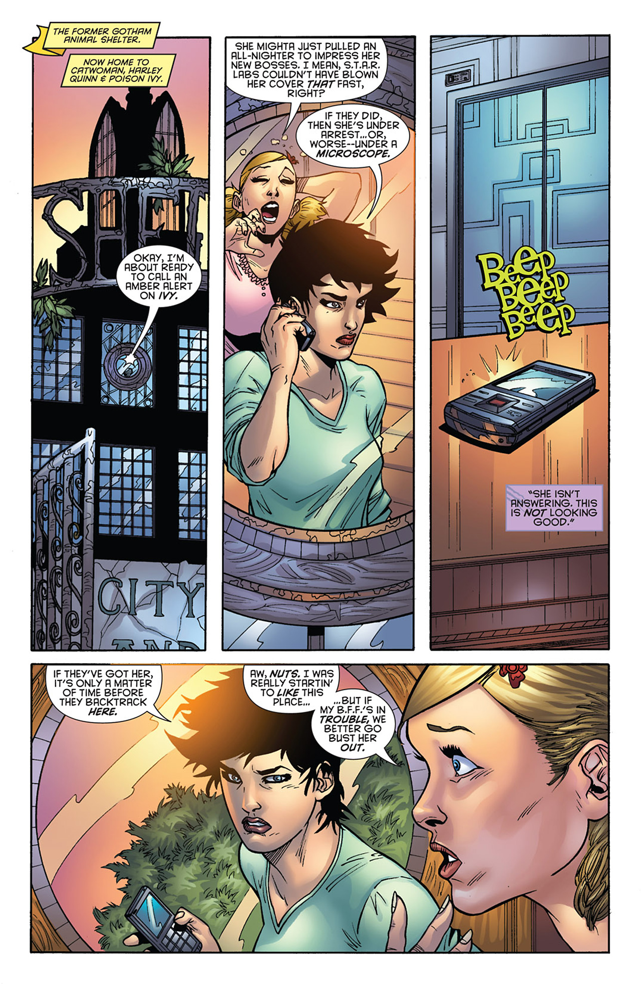 Read online Gotham City Sirens comic -  Issue #14 - 8