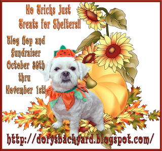 No Tricks Just Treats For Shelters