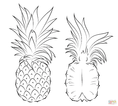 Pineapple coloring page 4