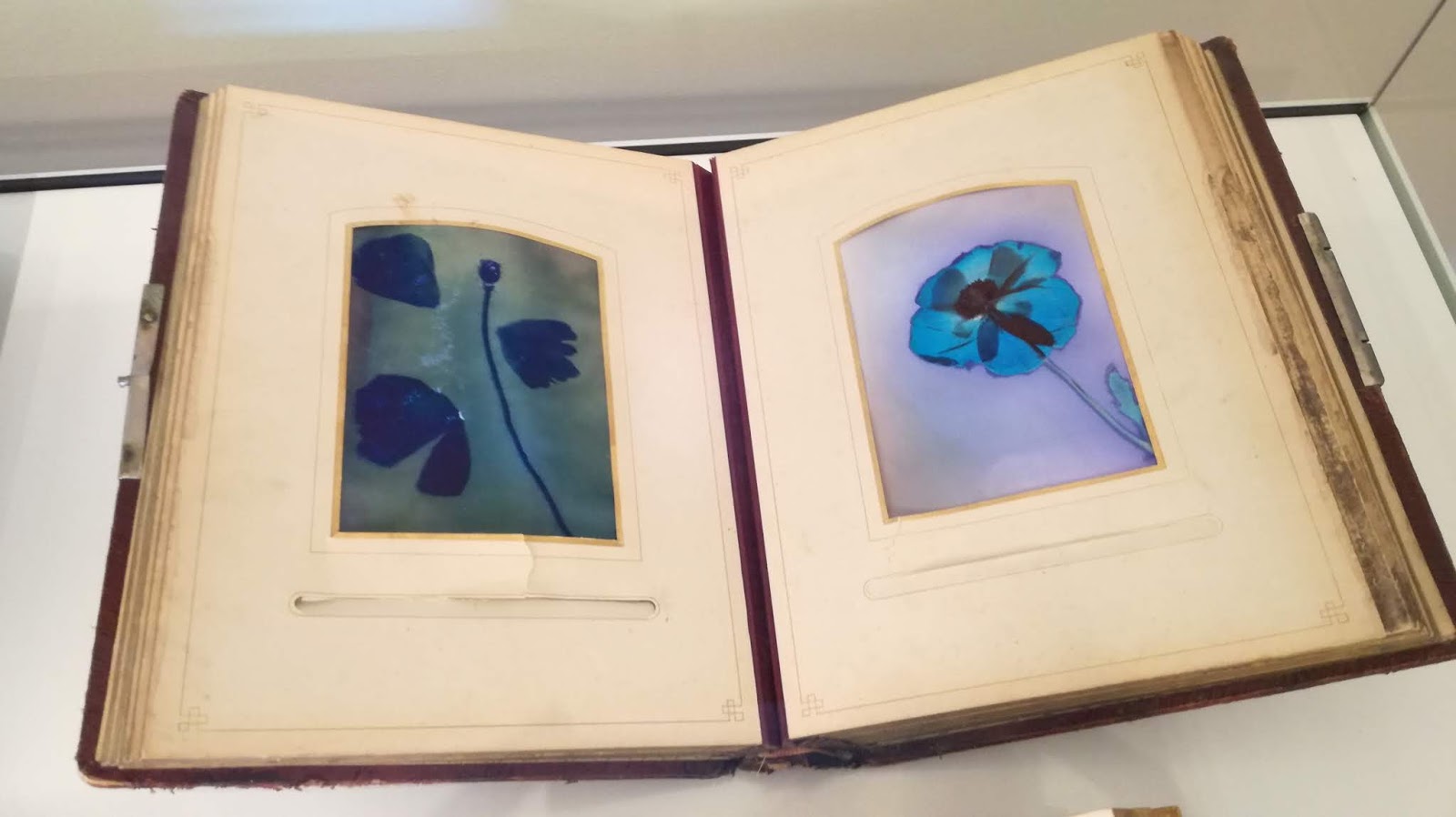 le lys dans la vallée rencontre amoureuse commentaire