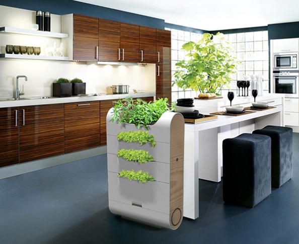 Kitchen Trolley Ideas India Kitchen Trolley Ideas India