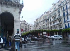 موقع سوق السكوار - بورصة الجزائر