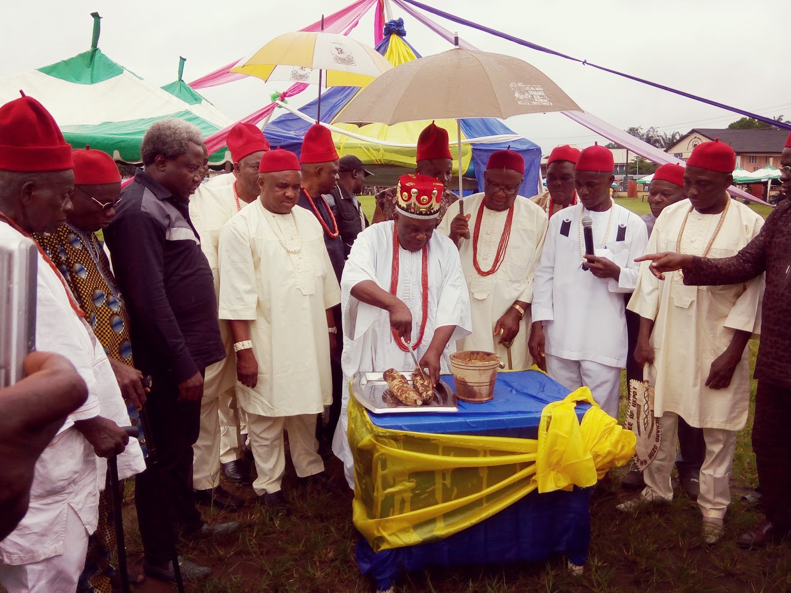 The 2016 Ukpor New Yam Festival In Pictures, With a Brief History Of