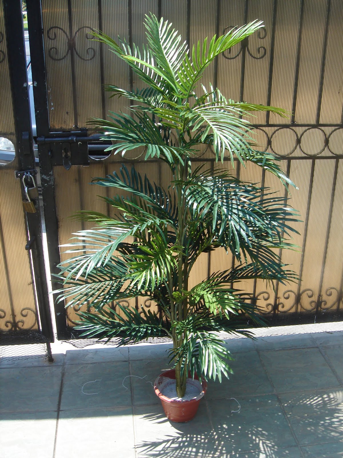 & U Evergreen Artificial Plants For Sale.