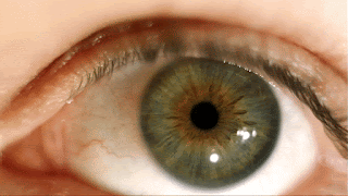 Exquisite How Do You Get Rid Of Bees Capture Collection Exquisite How Do You Get Rid Of Bees Capture Collection