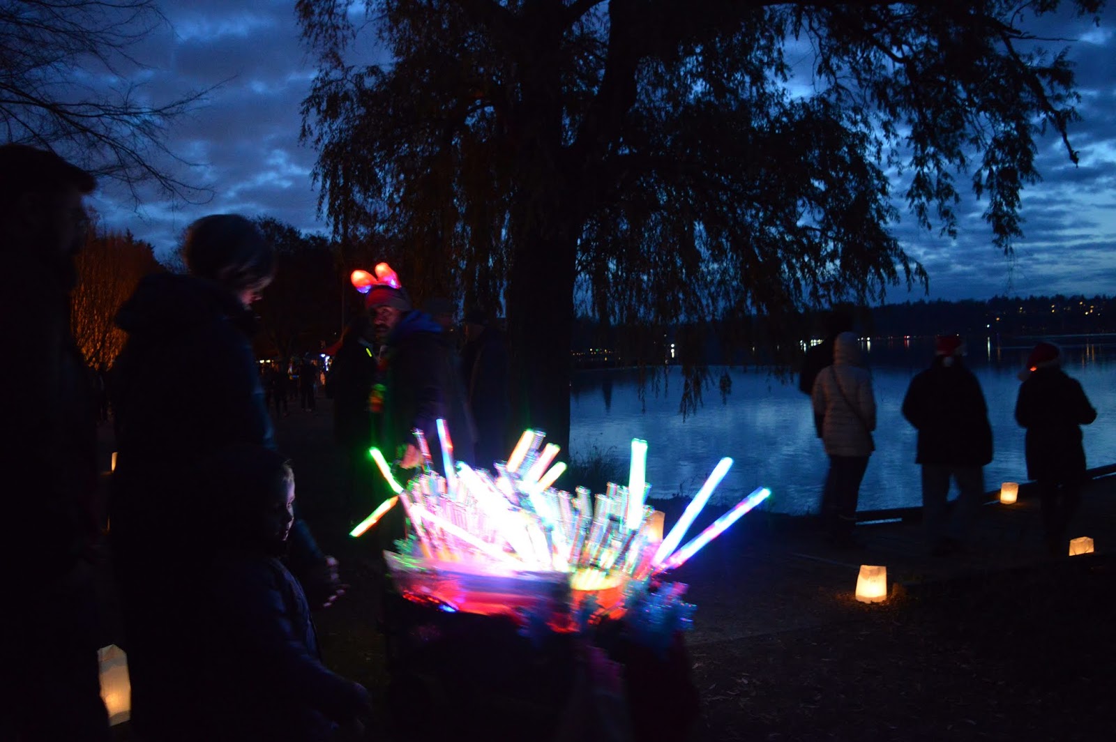 The Green Lake Pathway of Lights