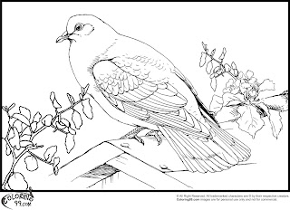 pigeon coloring pages