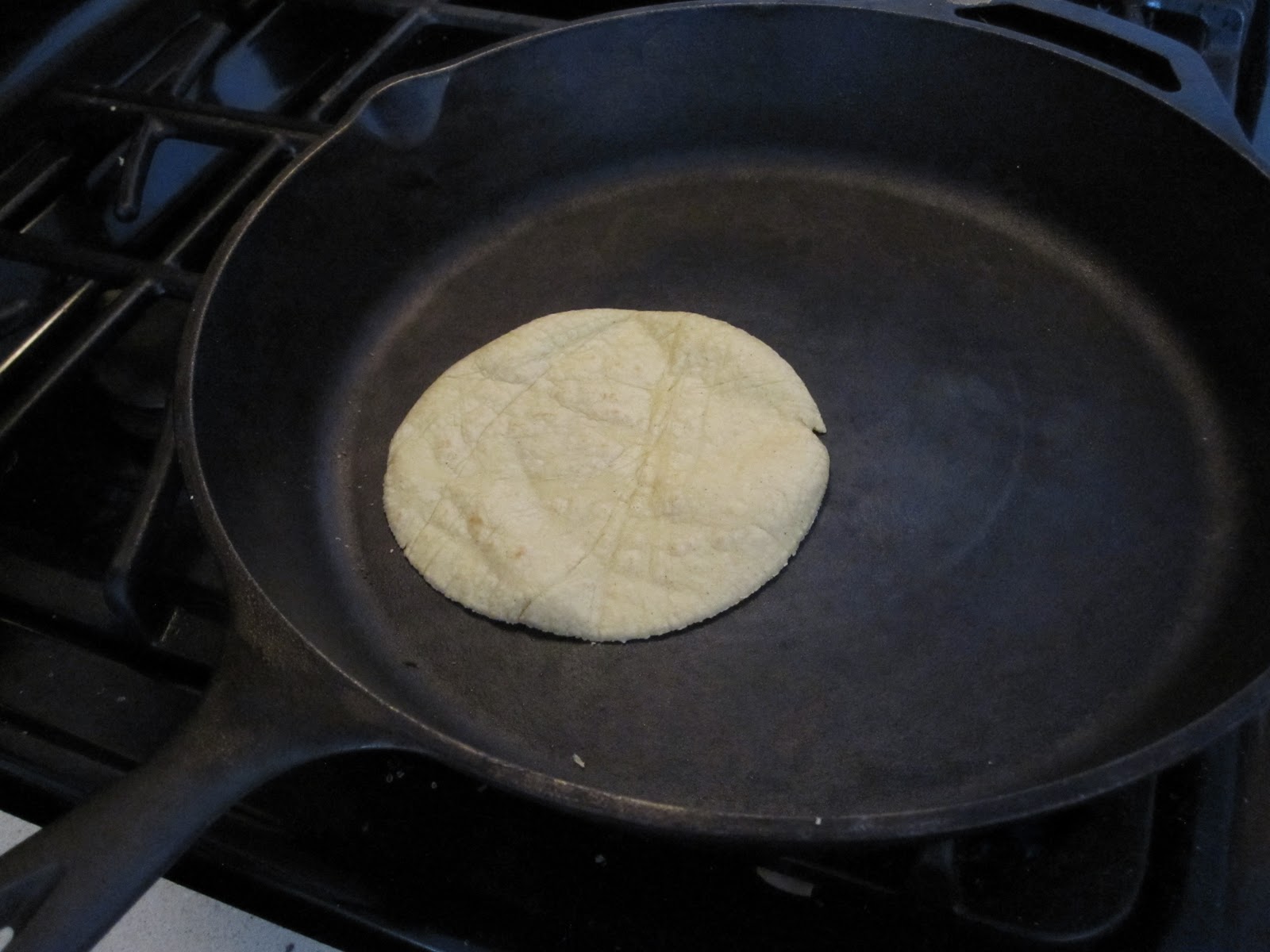The Robinator's Foodventures Homemade Corn Tortillas (Soft Taco Shells)
