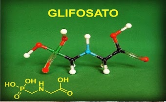Os cientistas que encontram o herbicida glifosato em alimentos comuns são silenciados