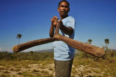 Ranger Komodo Ranger Komodo