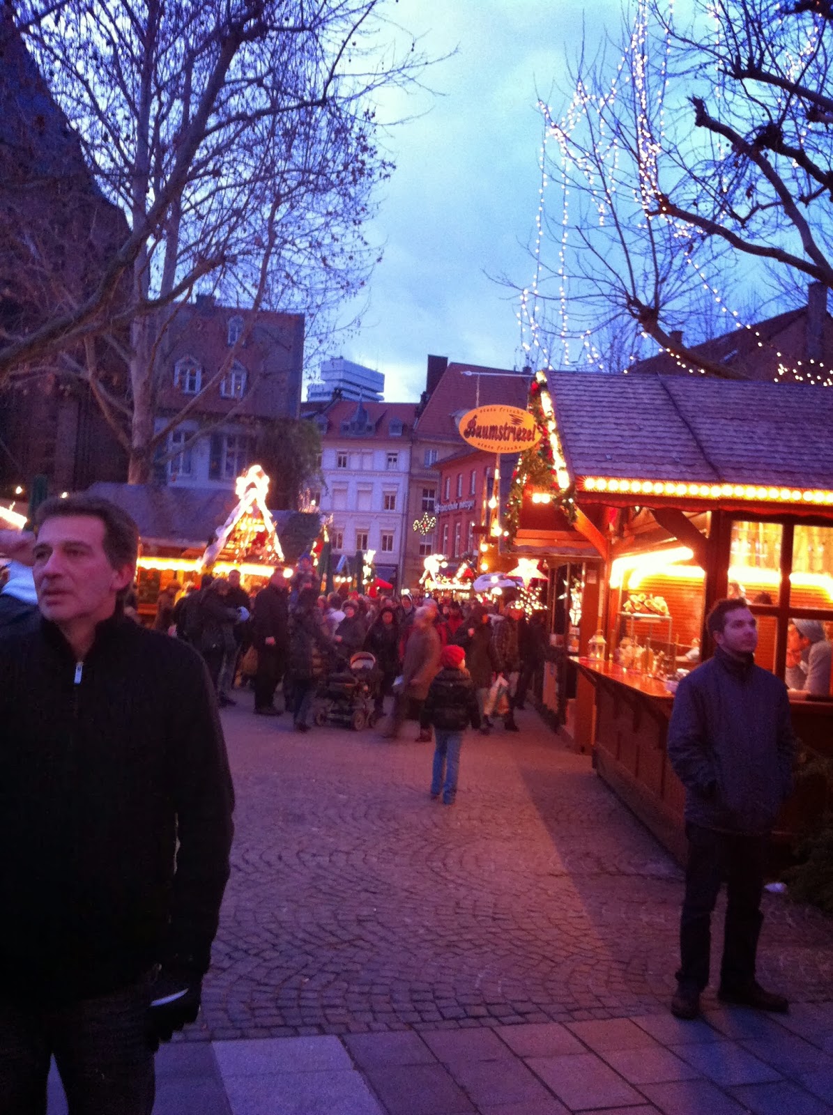 Sanders Go Sightseeing Kaiserslautern, Germany (Christmas Market)