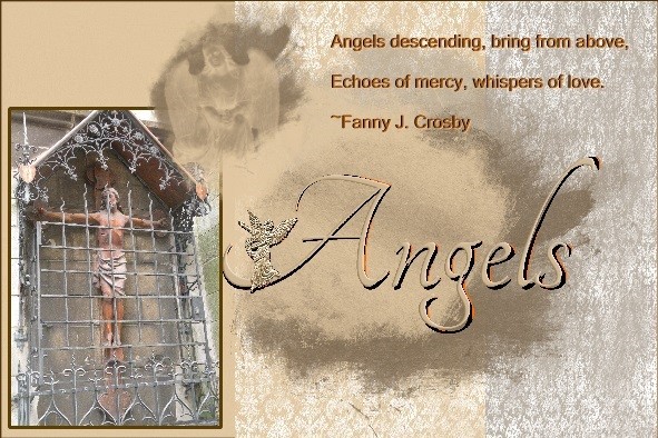 Jan.2016 - Angels