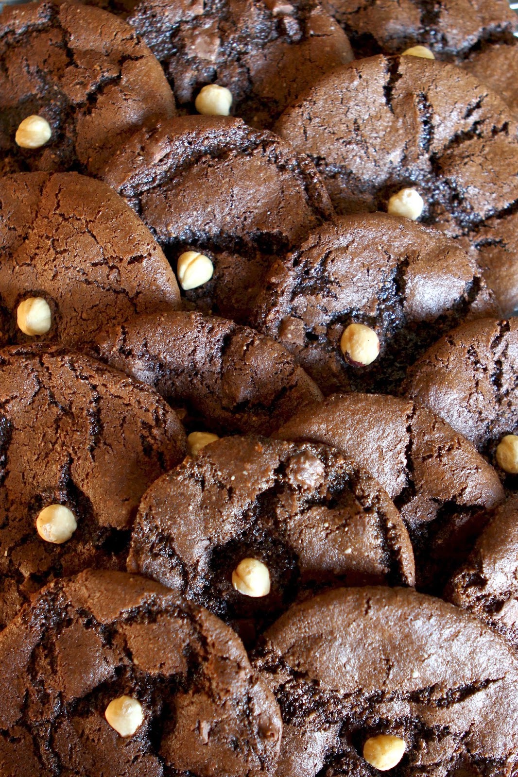 Gluten Free Alchemist Chocolate & Hazelnut Butter Cookies gluten