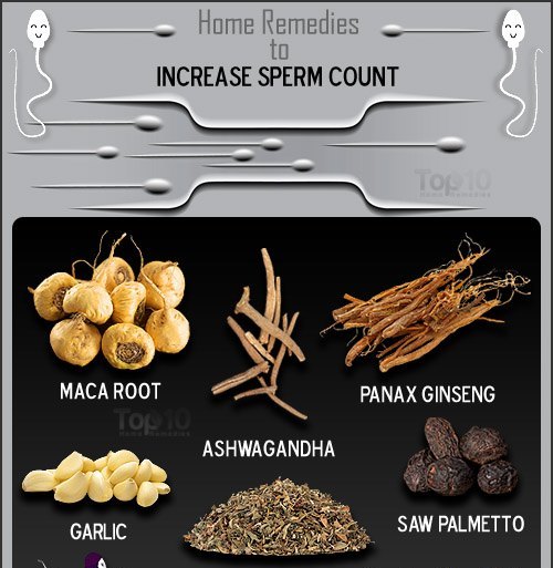 Remedies to increase sperm count