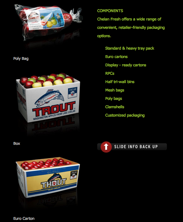 Design Practice Apple packaging