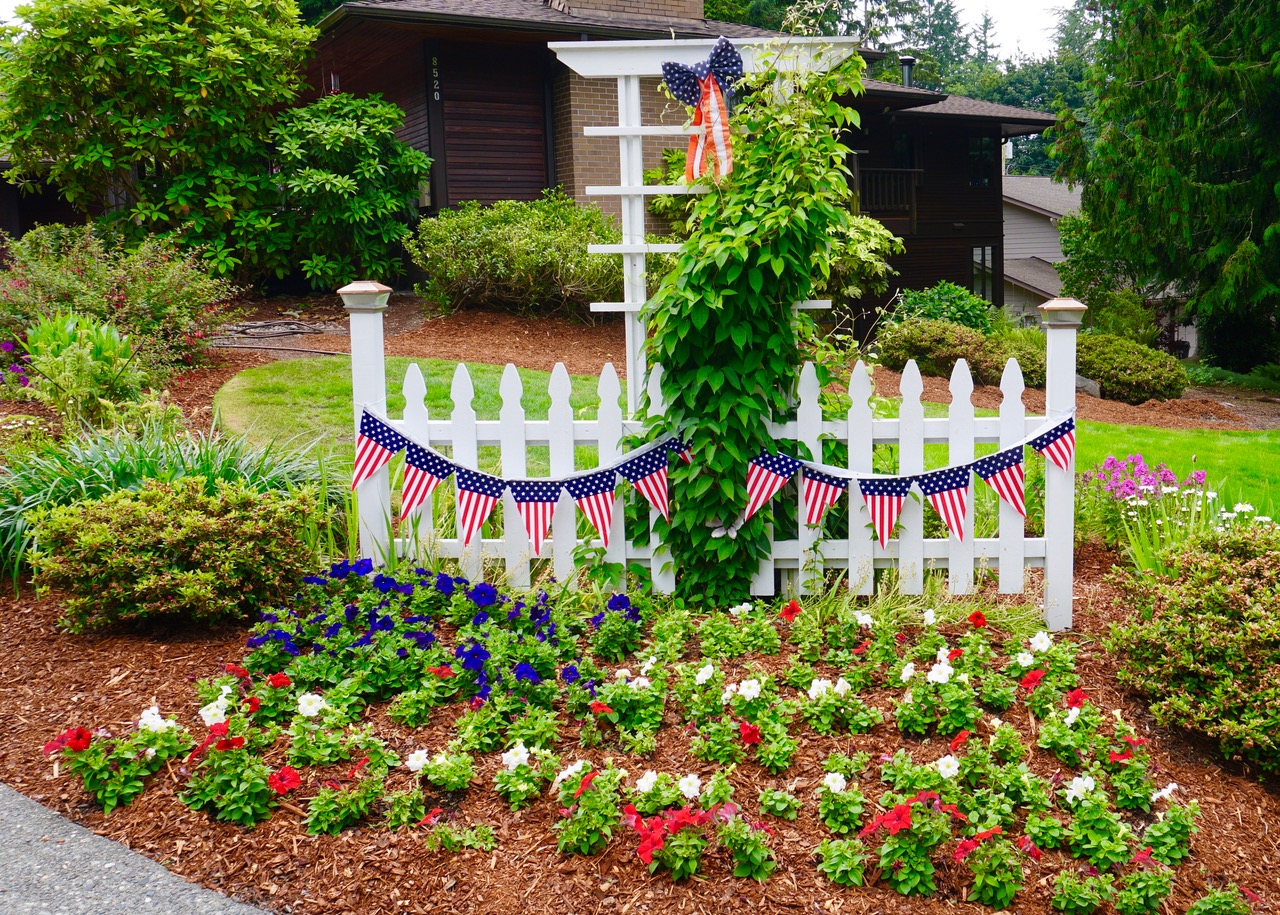 Shoreline Area News Photo Patriotic Garden for the 4th of July