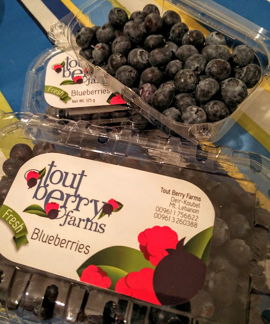 Lebanon's Tout Berry Farms Pioneer Blueberry Farming in the Middle East