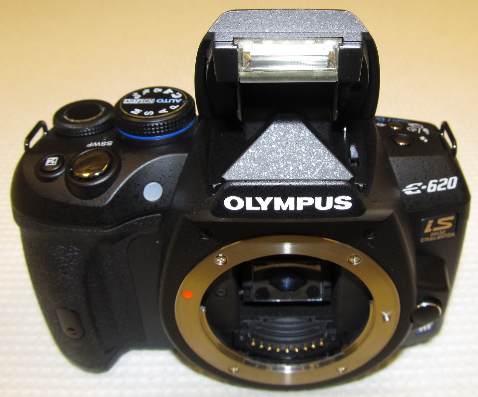 The Chens The User's Review Olympus E620 Digital SLT Camera