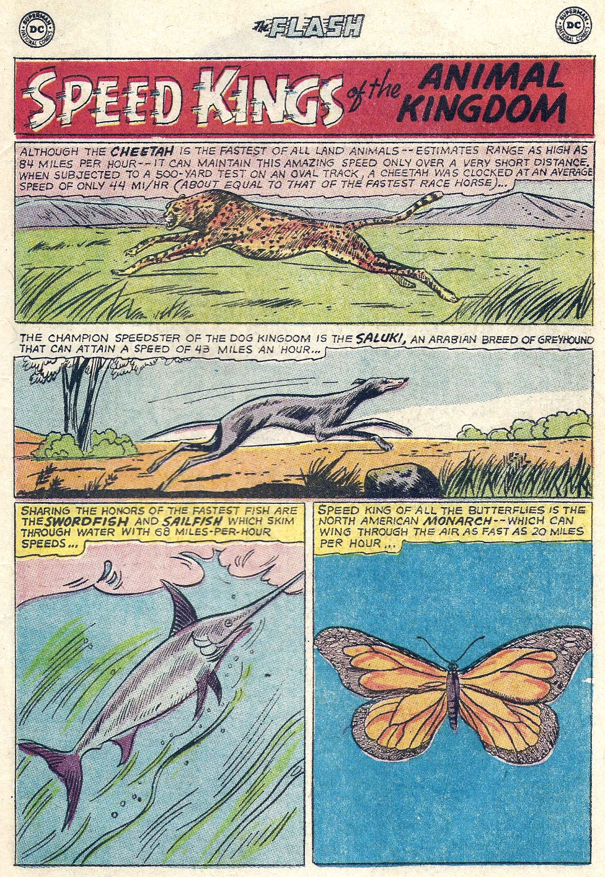 The Flash (1959) issue 156 - Page 33