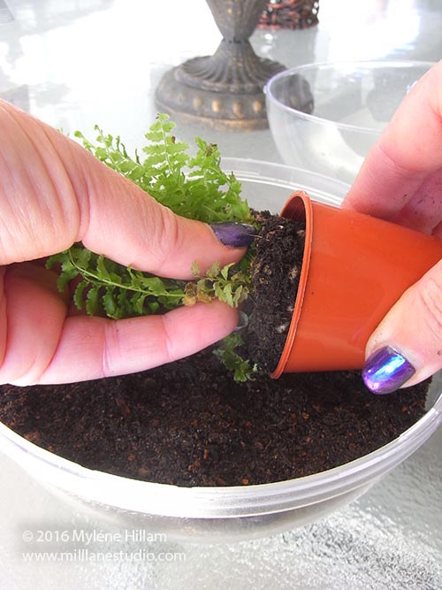 Mill Lane Studio Upcycling Make a Woodland Themed Terrarium