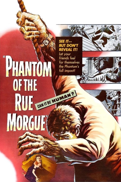 Il mostro della via Morgue 1954 Streaming Sub ITA