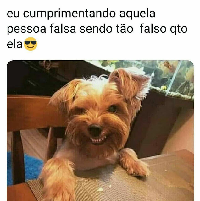 Memes+engra%25C3%25A7ados++%25284%2529.j