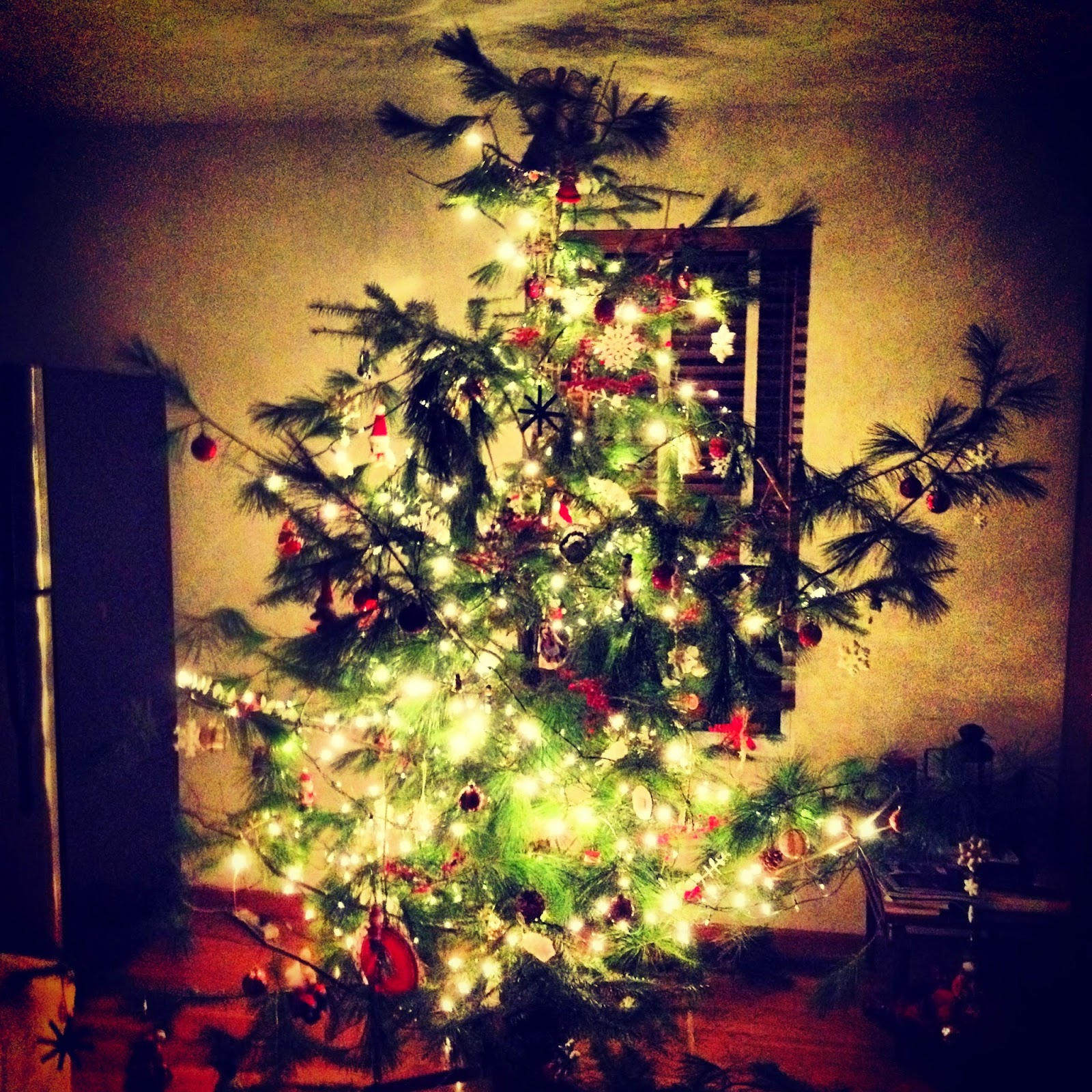 Damn Arbor Christmas Trees, an updated ranking for 2014