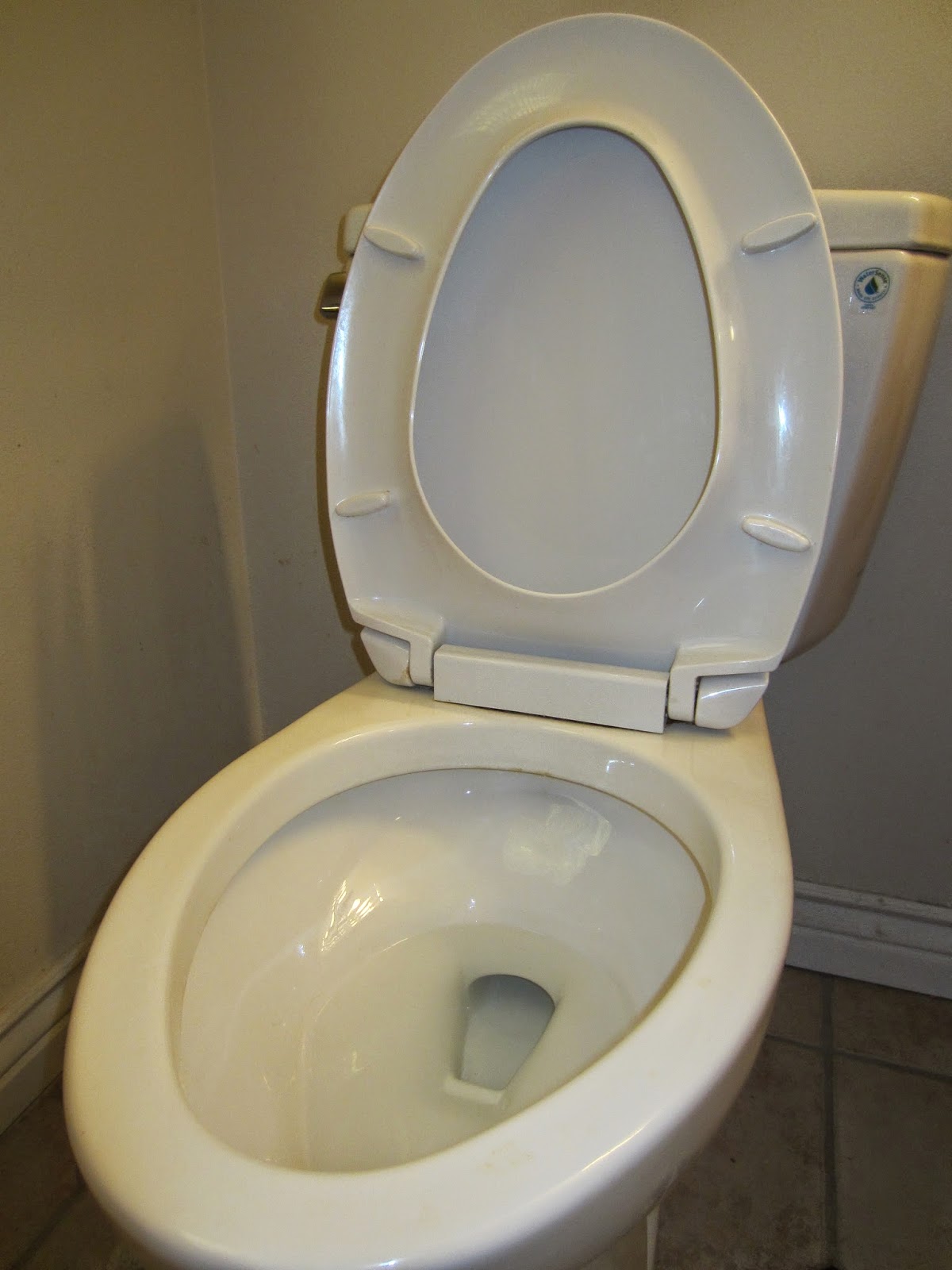 Slow Joe 40yearold virgin; father of 4! Toilet Seat Up or Toilet Seat Down? (A Definitive Study)