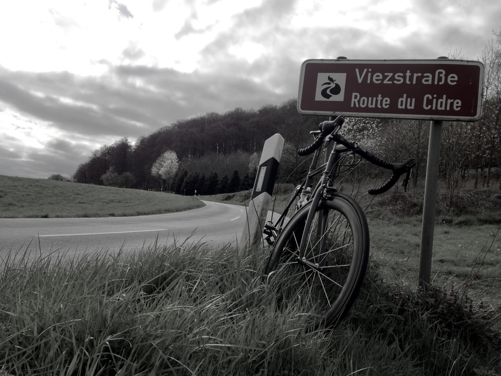 Rostock Sailing Einhand Im Trapez Auf Zwei Rumpfen