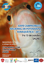 XXVI CAMPEONATO NACIONAL DE FOTOGRAFIA SUBAQUATICA 2017