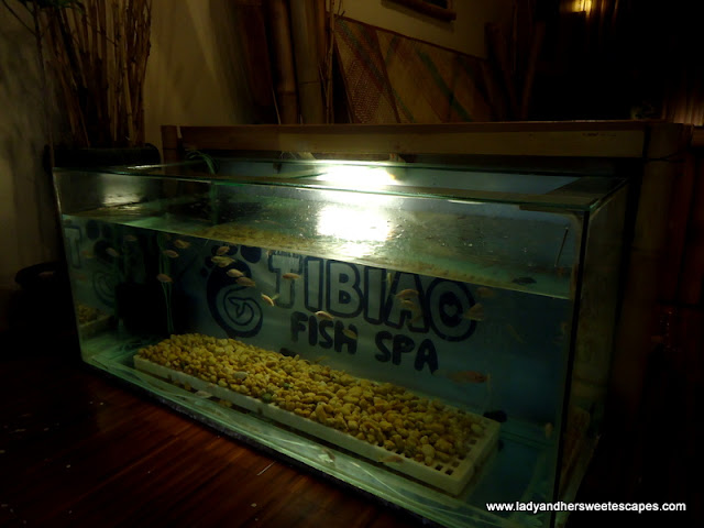 Tibiao Fish Spa's interior