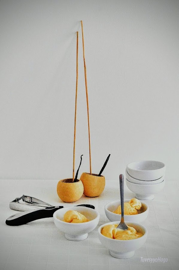 COMO PREPARAR UN RIQUÍSIMO HELADO DE VAINILLA CASERO - TuvesyyoHago