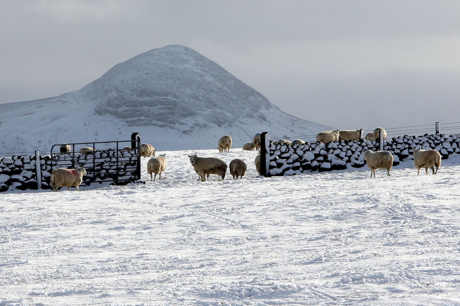 Irish Papist The Storehouses of the Snow