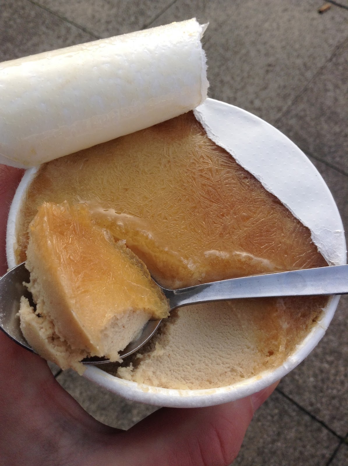 Almond Dream Salted Caramel Non Dairy Ice Cream