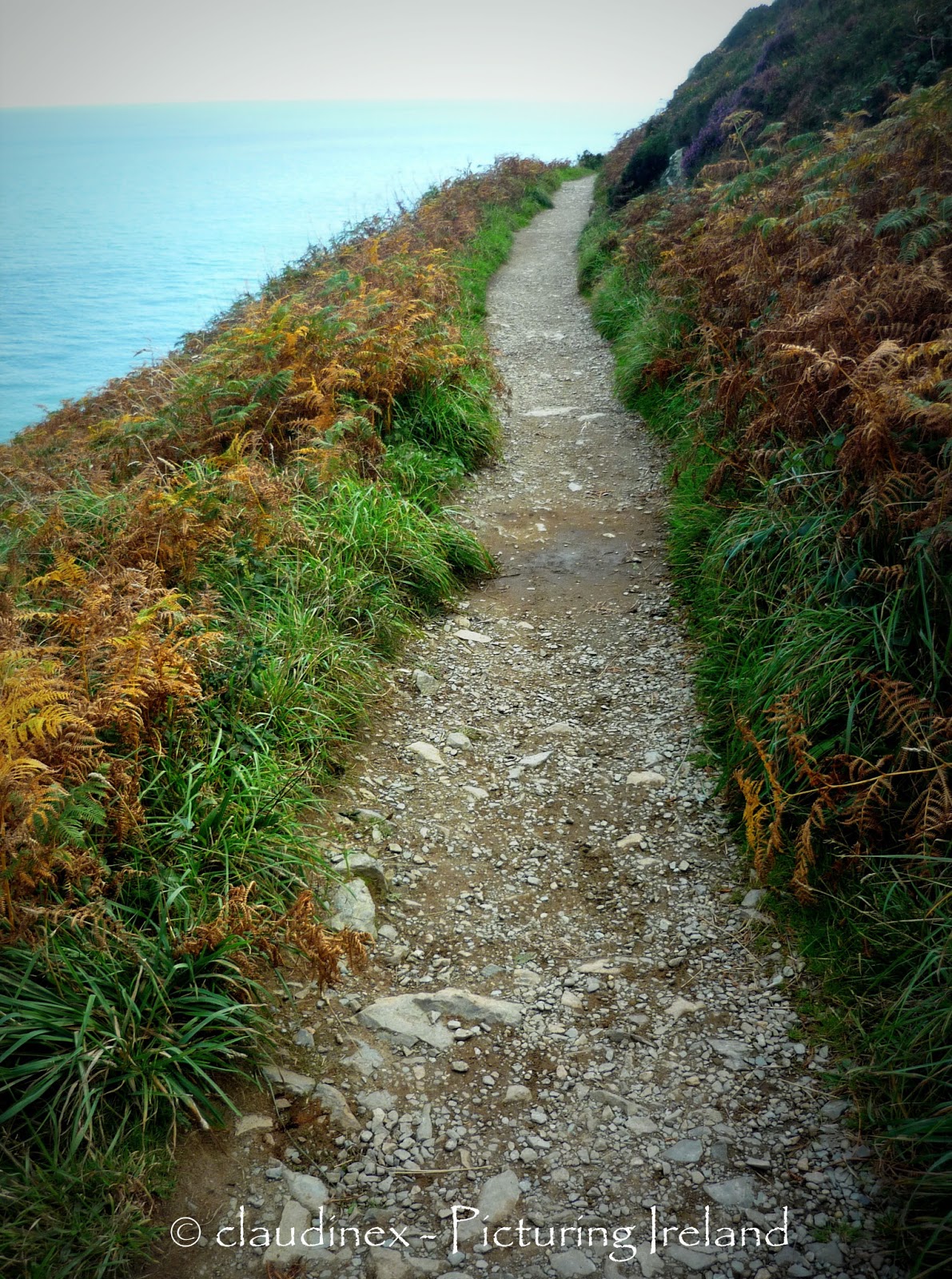 Picturing Ireland : Howth Head cliff walk, Co. Dublin