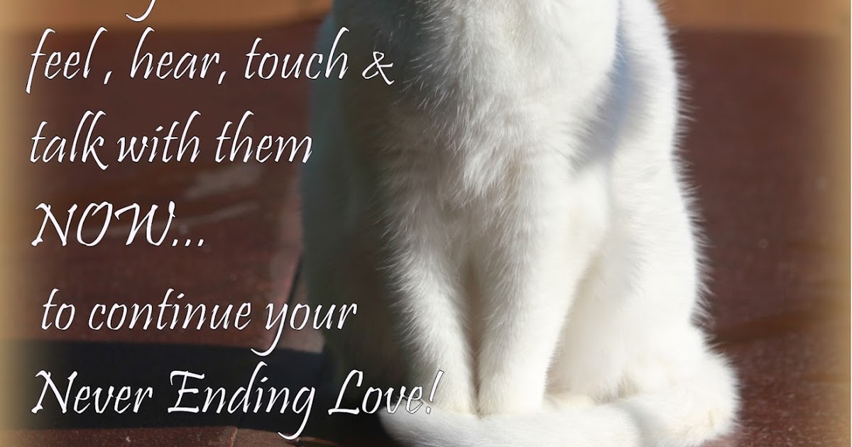 Healing Loss l Cope with Death l Grief Recovery l Afterlife l Live