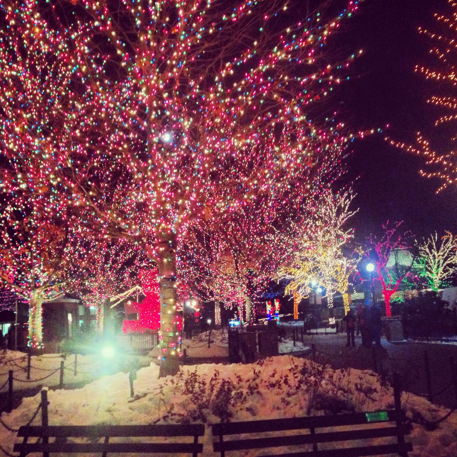 hewanunik2016 how much does zoo lights cost Images