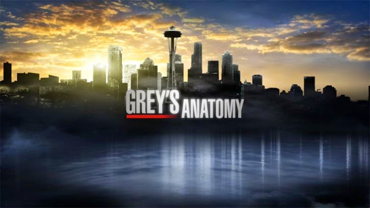 Grey's Anatomy - Episode 11.06 - Don’t Let’s Start - Sneak Peek 2