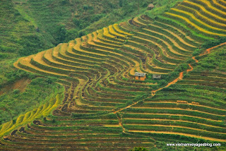 Temps de récolte de Yen Minh vers Ha Giang - Photo An Bui Temps de récolte de Yen Minh vers Ha Giang - Photo An Bui