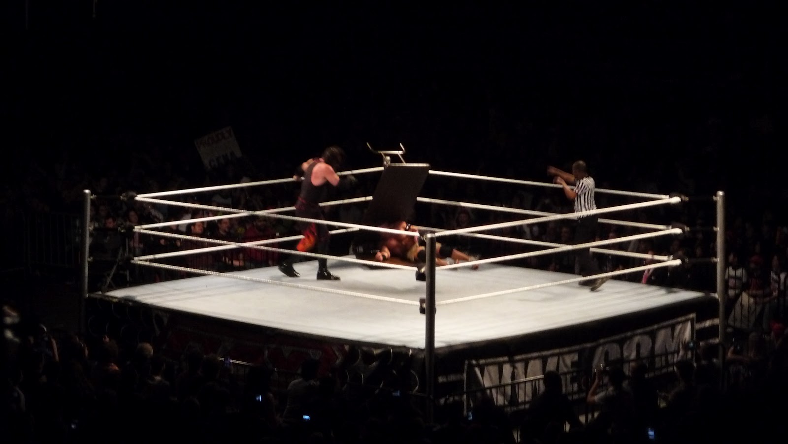 A Magpie Amongst The Beavers: WWE: Poetry In Motion