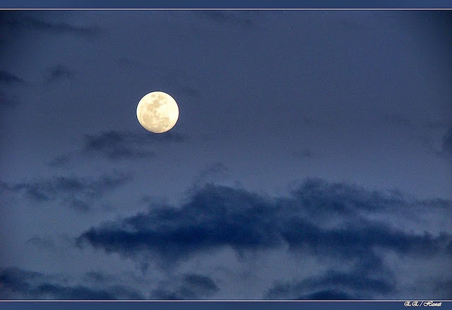 El océano al final del camino (Neil Gaiman)