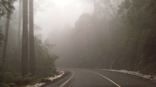 Mt Donna Buang Snow