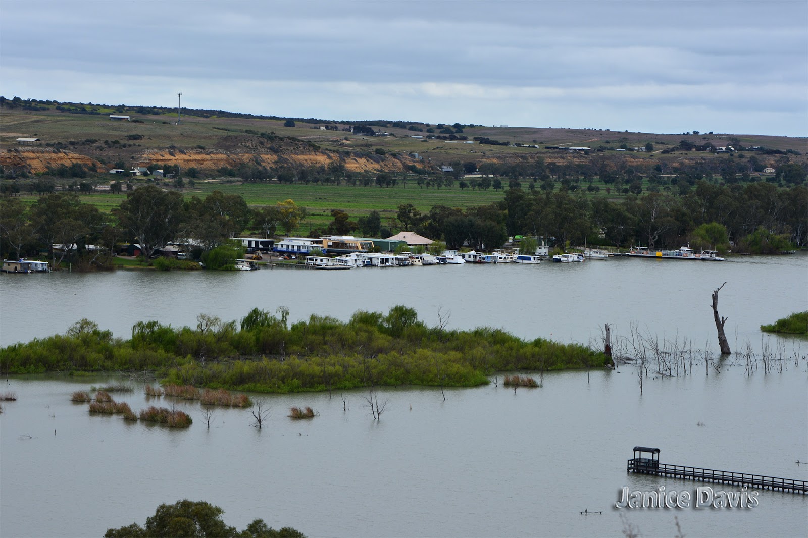 thoughts & happenings Murray River at Mannum, South Australia
