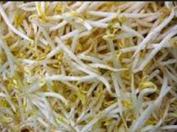 Obat Herbal Alami Agar Cepat Hamil |Distributor AL Mabruroh