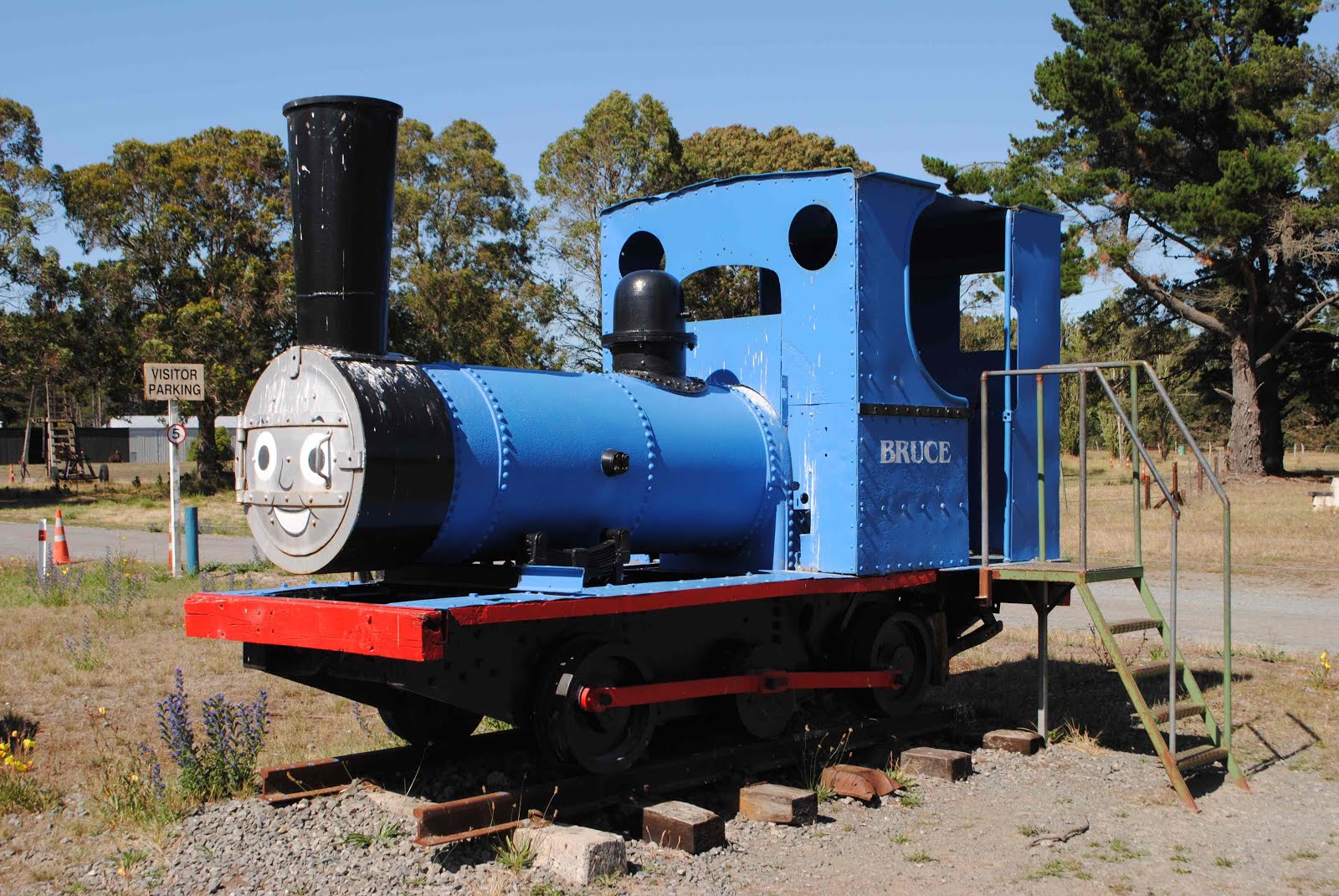 Trainrover New Zealand January 2015. 1 Bush steam lokies