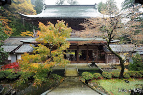 Hide Jelly 17北陸楓葉季day5 福井 古老 莊嚴的曹洞宗大本山 永平寺