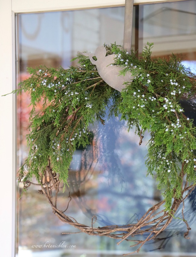 Boxwood Growth Over Time Thinking Outside The Boxwood