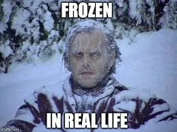 frozen memes