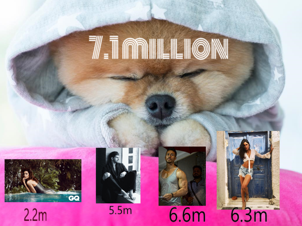 Most famous dog on Instagram more famous than Esha Gupta Katrina