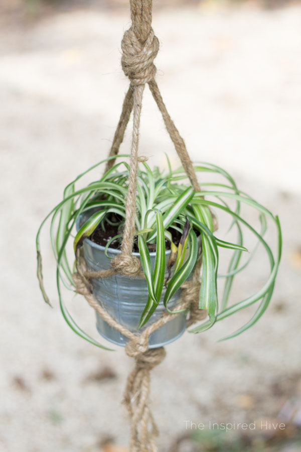 How to make a DIY jute rope macrame plant hanger. Perfect way to get the farmhouse look with macrame!